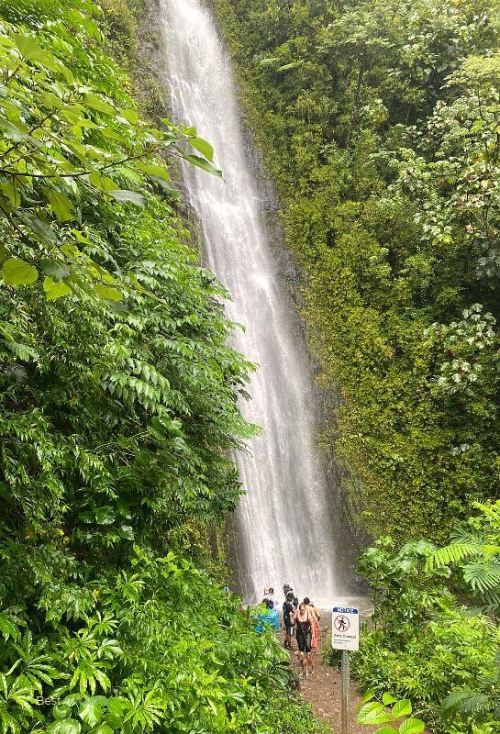 Hiking Manoa Falls   500xNxManoa Falls Oahu Hawaii .pagespeed.ic.jqvDe TR3z 