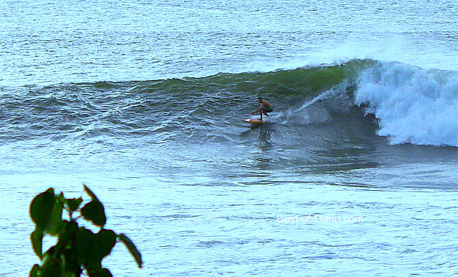 Surf hawaïen Waimea Bay