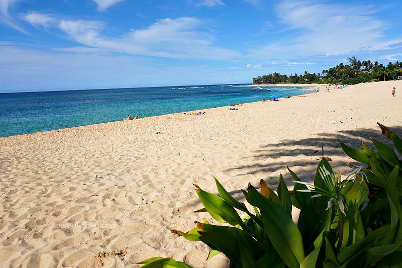 Sunset Beach Oahu North Shore