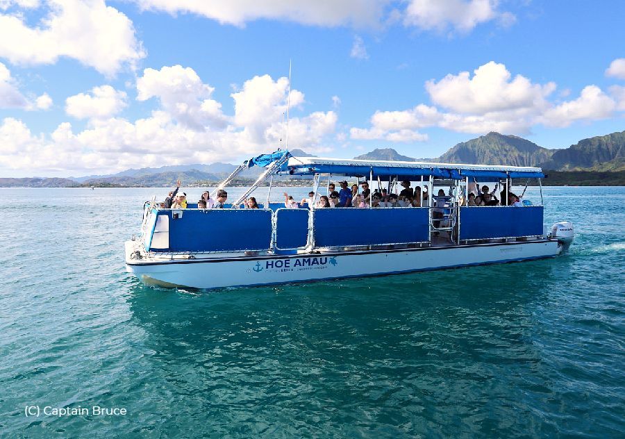 The Captain Bruce Catamaran Boat is a spacious and comfortable vessel that provides a smooth and enjoyable sailing experience, allowing passengers to relax, soak up the sun, and take in the breathtaking views of the ocean and coastline. ⛵🌊