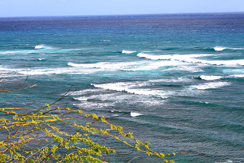 diamond head surf cam