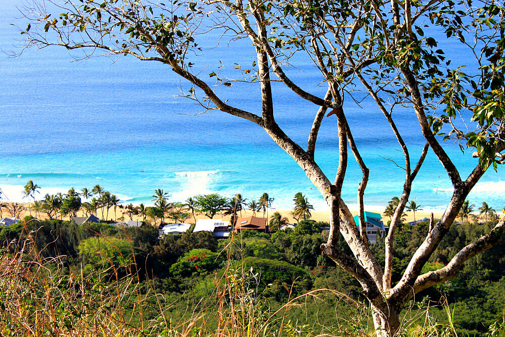 Ehukai Pillbox Hike Grand North Shore & Banzai Pipeline Views