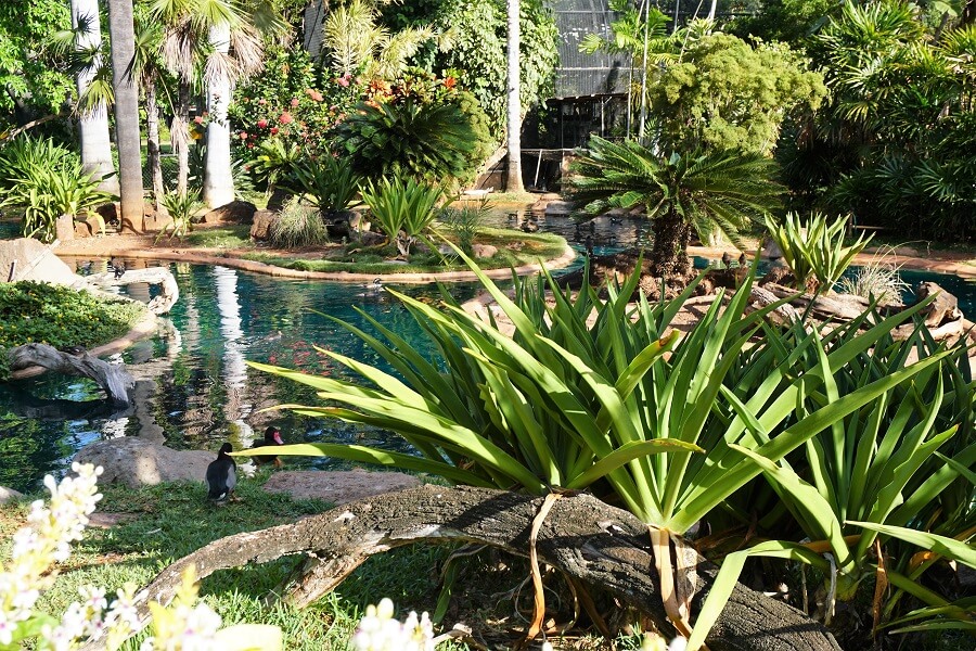 Grădina zoologică din Honolulu