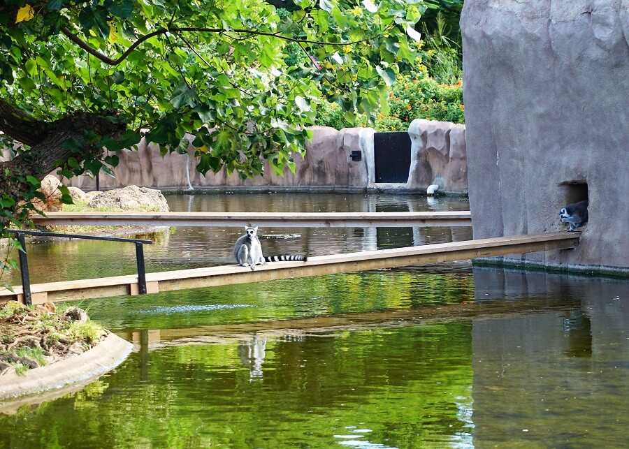 Expozițiile de la Grădina Zoologică din Honolulu