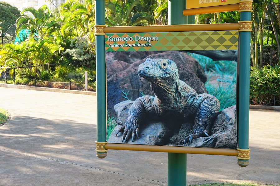 Dragón de Komodo del zoo de Honolulu