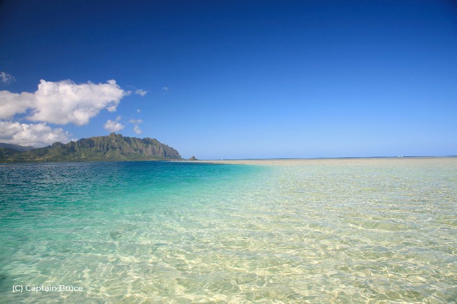 During low tide, the Kaneohe Sandbar reveals its sandy expanse, creating a shallow and picturesque area in the middle of the ocean where visitors can wade, relax, and enjoy the surrounding beauty of Kaneohe Bay. 🌊🏝️