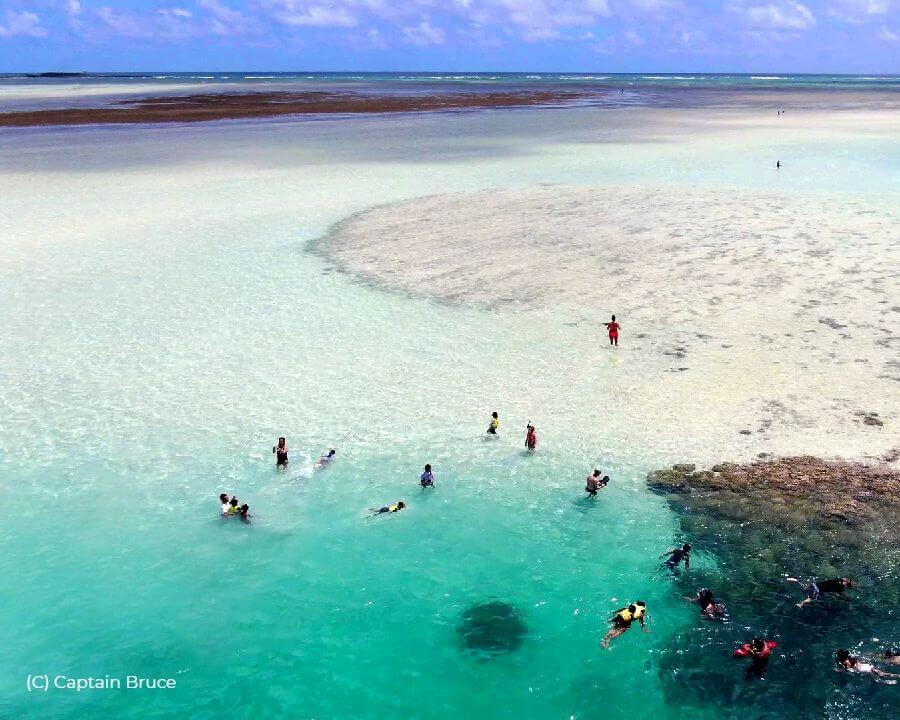 The Kaneohe Sandbar Reef is a stunning underwater ecosystem nestled within the Kaneohe Bay, protected by a coral reef, and home to colorful fish and sea turtles, offering a unique snorkeling experience in calm and clear waters. 🐠🐢