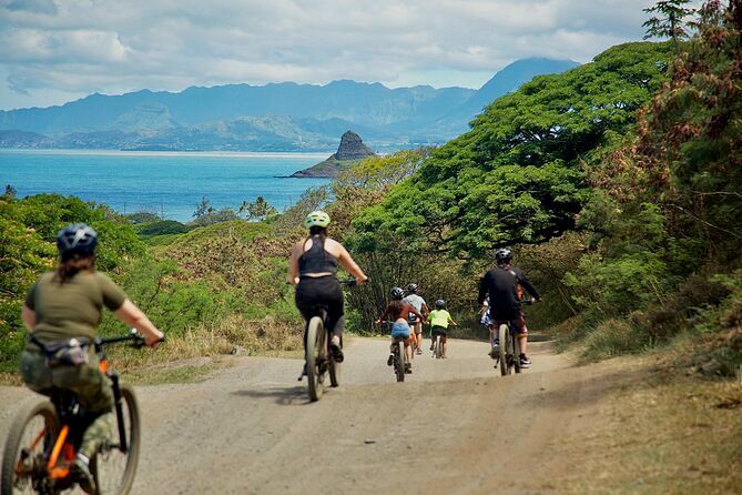 Discover Fun Kualoa Ranch Activities