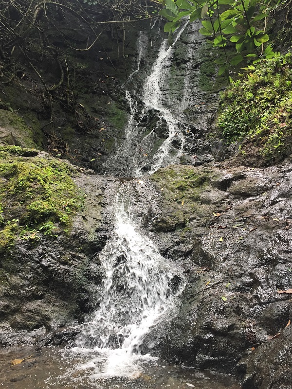 Hiking Likeke Falls below the Pali Highway