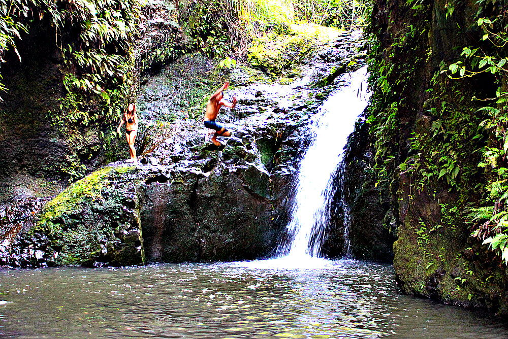 Hiking to Maunawili Falls a journey thru the jungle