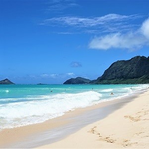 Explore Oahu and all this island has to offer