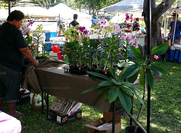 KCC Farmers Market Blomster