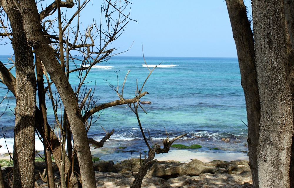 Laniakea Beach Better Known As Turtle Beach On The North Shore